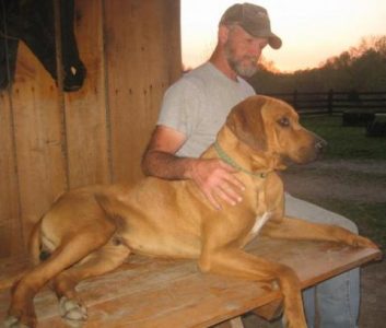Man and best friend