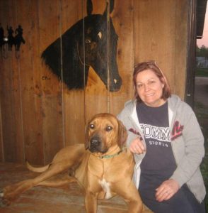 Rhodesian Ridgebacks in Kentucky